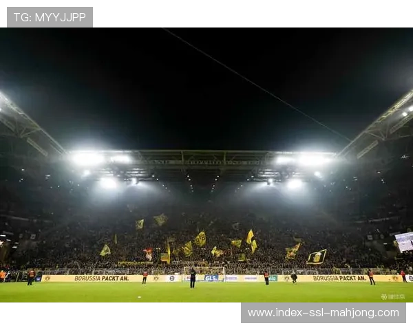 多特蒙德主场南看台展示拼图：2.5万球迷组成“Borussia”字样助威