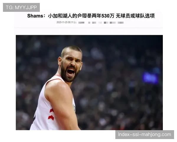 王牌队老板马克·戴维斯出席拉斯维加斯新球场奠基仪式